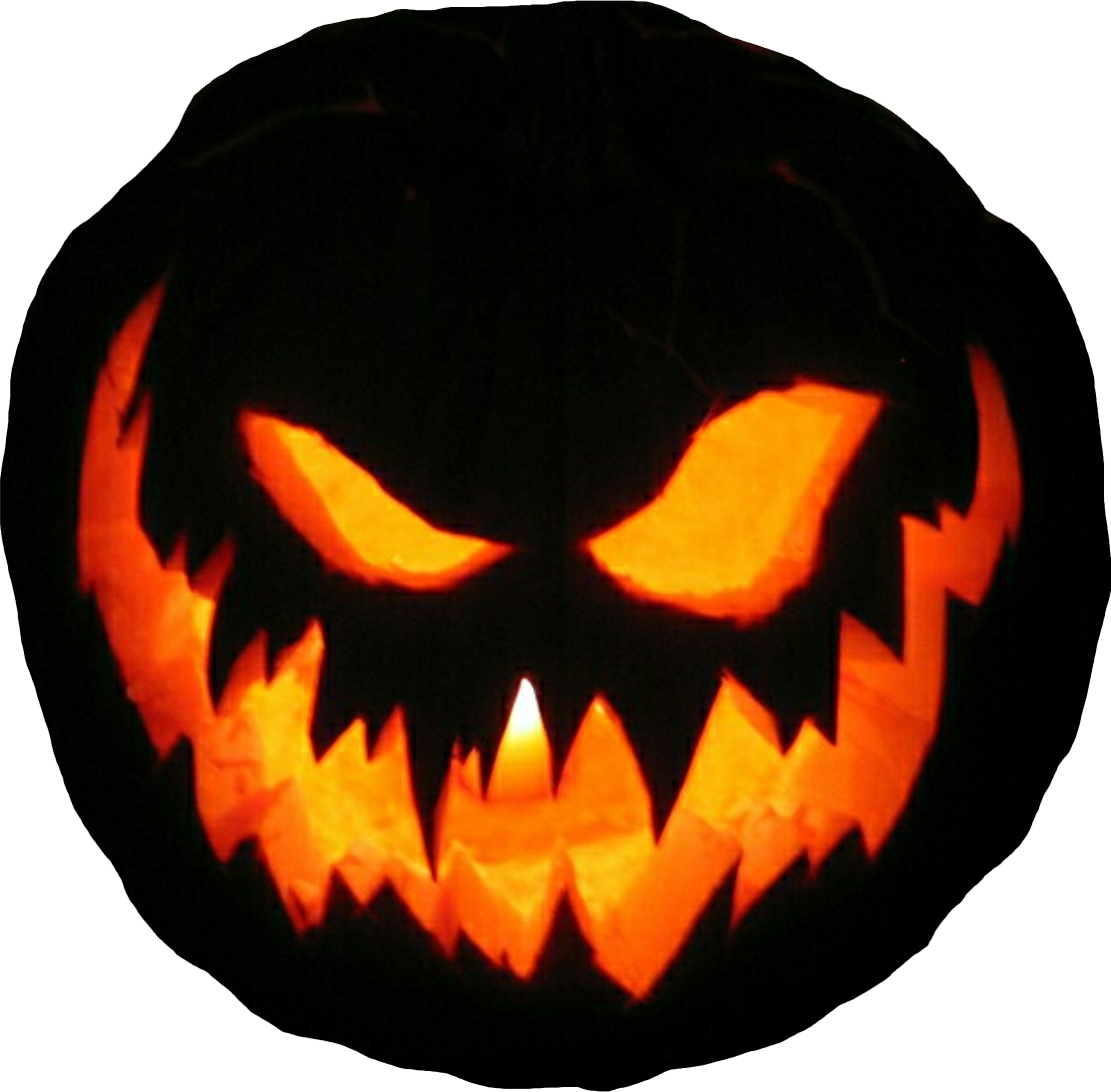pumkinportraits.com